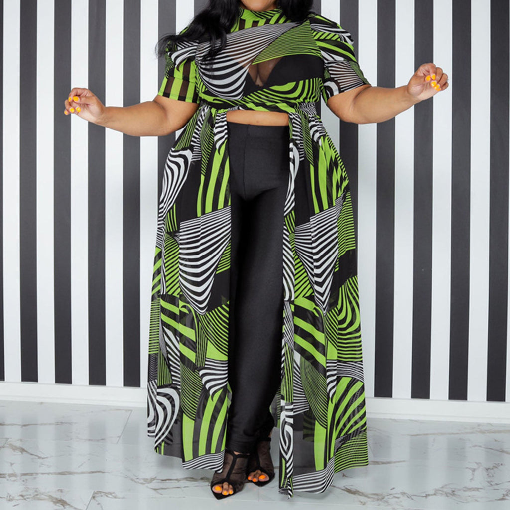 Plus Size Mesh Striped Tunic Dress