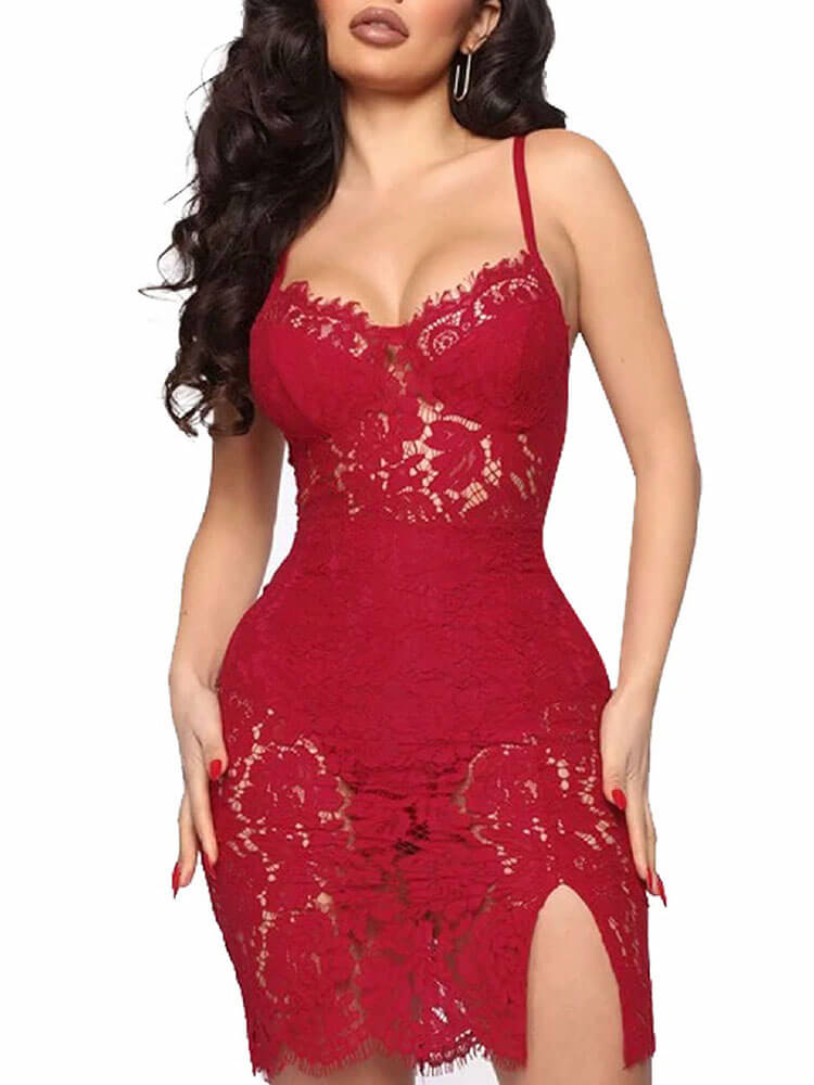 Floral Lace Mesh Hollow Out Bodycon Dress Tiynon
