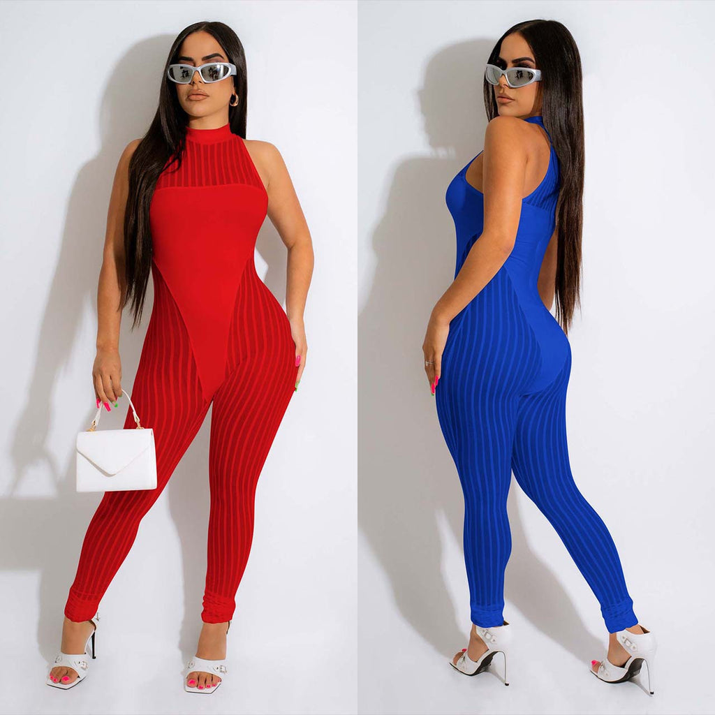 Multicolor Mesh Jumpsuit