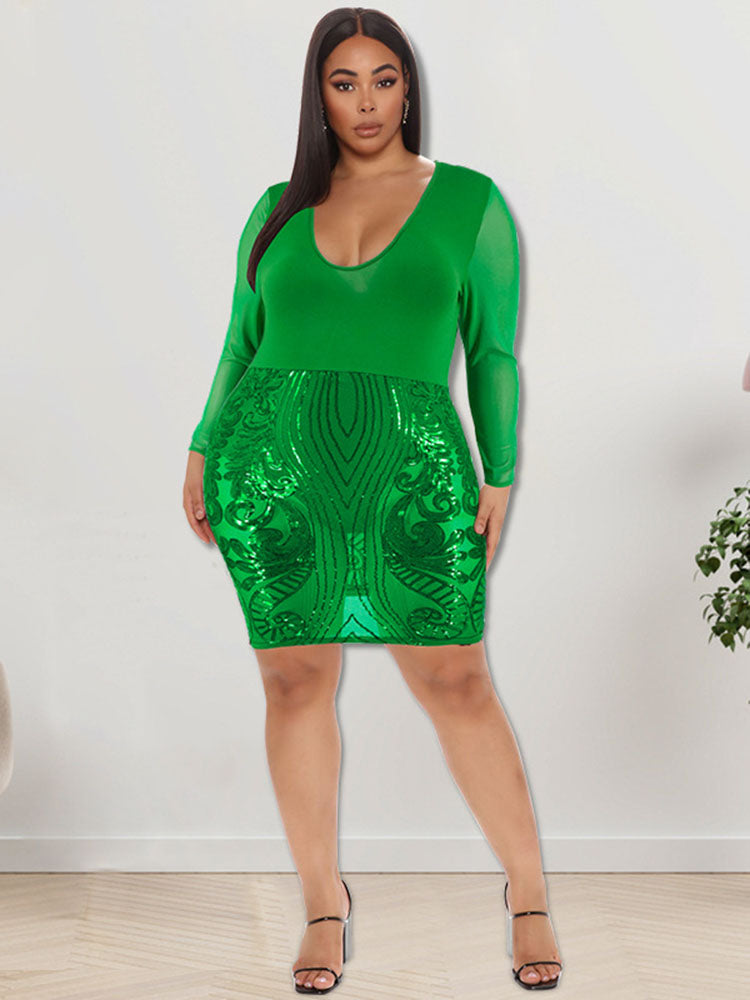 Plus Size Embroidery Mesh Bodycon Mini Dresses